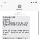 한국지식재산보호원