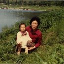 부용목욕탕 이미지