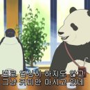 커피JUN