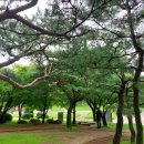 자연환경(주) 이미지
