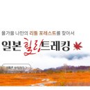 하나테마여행사