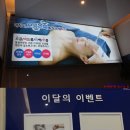 닥터수 해운대점 네이버블로그