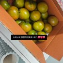 그린P(플라스틱) | 미주핏 3월 마무리를하면서,,ㅎㅎ