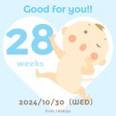 삼남매의행복한공방 | 임신일기 08 : 28주차~30주차 일상(입체초음파, 태동, 언니 결혼식, 육아용품, 아기방 준비)