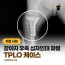 영주동물병원 이미지