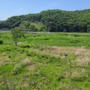 실트론식당 이미지