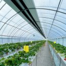 무수농장 이미지