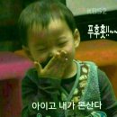 개도 웃었다. 이미지