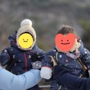 산호대로25안길-2 | [진천] 생거진천자연휴양림 '힐링숲5호(10인실)' 2박 3일 후기