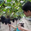 소라농장 이미지