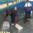 서해종 네이버블로그