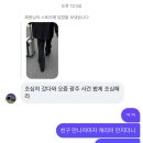 (주)제주드림투어 | 5월 제주 모음집 ⋆˚🍊˖°