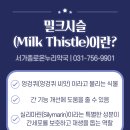 서가종로온누리약국 이미지