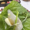 초연회수산물