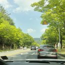 중앙암소숯불식당 이미지