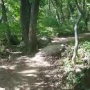신어산 산림욕장 이미지