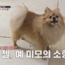 개과천선 이미지