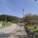 임천관아지 이미지