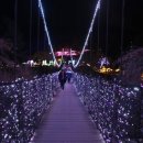 프랜치캣펜션 이미지