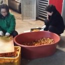 은자 농장 이미지