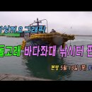 돌고래 좌대낚시터 이미지