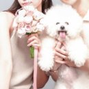 수원-1761 이미지