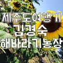 김경숙 김밥 이미지