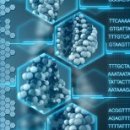 자연생명대체의학 이미지