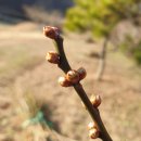 기우농장 이미지