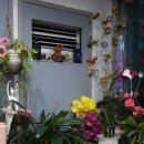 갬성노래연습장 이미지