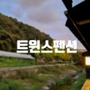 트윈스펜션