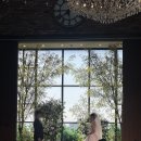 광의-1 | 강서 양천구 밝은 웨딩홀, 자연광 하우스웨딩 로프트가든344 본식 솔직후기