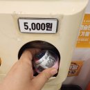 시흥 더쿠통신 보물섬 쿠지 가챠샾 방문 후기 (드래곤볼 제일복권, 가챠 도전)