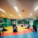 쌍용키즈태권도