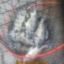 독도바다낚시터 이미지