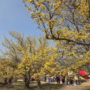 구례로선 KBS