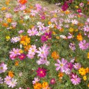 윤경희농장 이미지