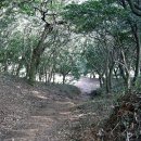 광양 옥룡사지 이미지