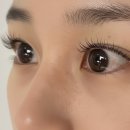 상남동주민센터 | 창원 상남동 속눈썹 <리리뷰티> 민낯 자신감 폭발! 창원 속눈썹 맛집 솔직 후기