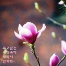 지금;여기서행복할것 이미지
