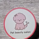 보니또그 이미지