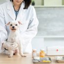 24시 송도힐 동물메디컬센터 이미지