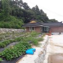 소이면사무소 이미지