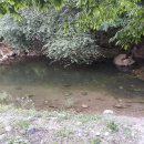 두밀리낚시터 이미지