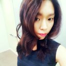 롤로(Rollo) 이미지