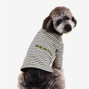 빼로(perro) 이미지
