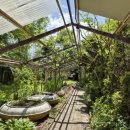 삼풍농장 이미지