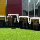 놀러오개(도화점) 이미지