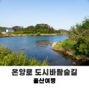 온양로 네이버블로그