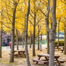 원적산공원 이미지